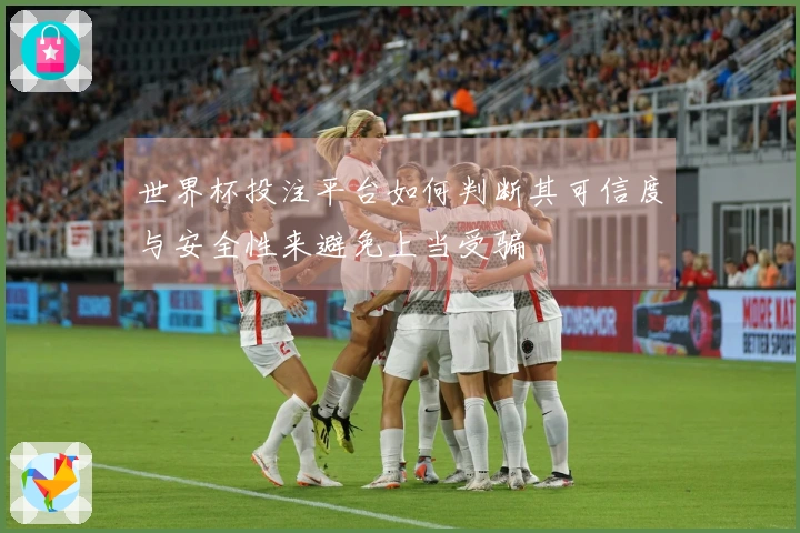 世界杯投注平台如何判断其可信度与安全性来避免上当受骗