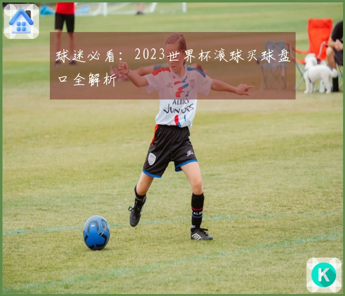 球迷必看:2023世界杯滚球买球盘口全解析