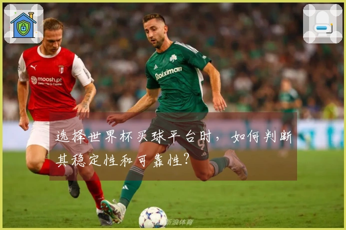 选择世界杯买球平台时,如何判断其稳定性和可靠性?