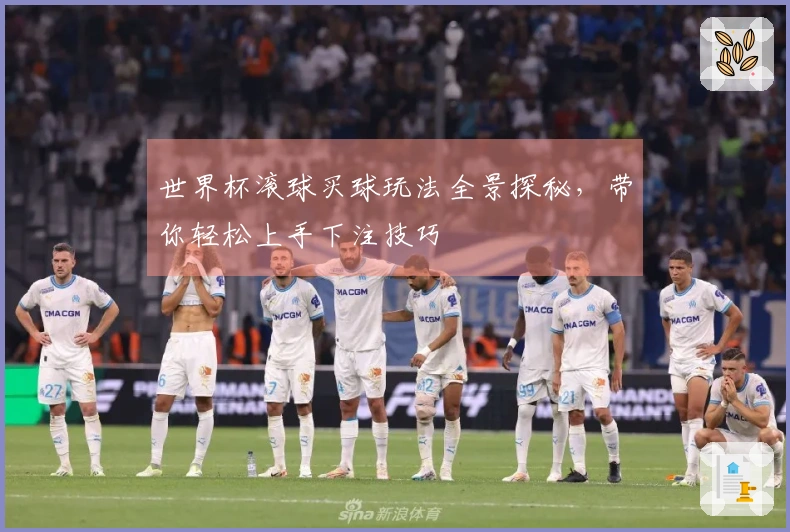 世界杯滚球买球玩法全景探秘，带你轻松上手下注技巧