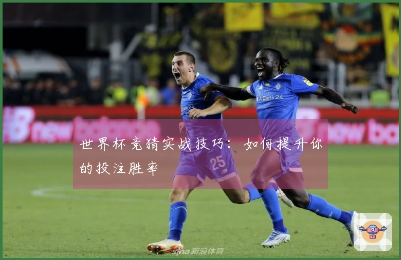 世界杯竞猜实战技巧：如何提升你的投注胜率