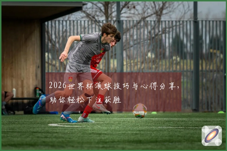 2026世界杯滚球技巧与心得分享，助你轻松下注获胜