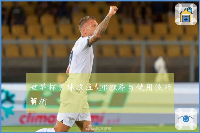 世界杯买球投注App推荐与使用技巧解析